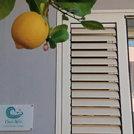 Casa Sofia Appartement Tertenìa