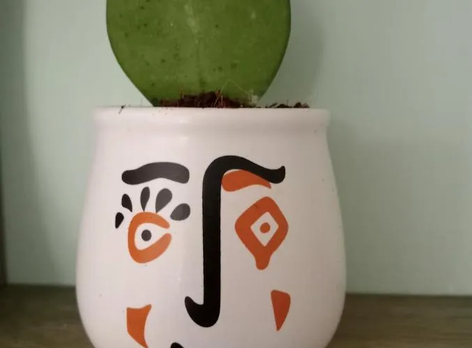 Апартаменты Casa Sofia