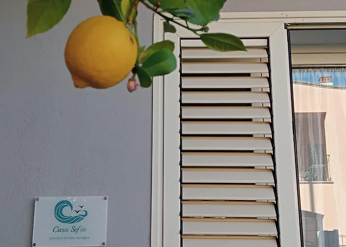 Casa Sofia Апартаменты Тертения